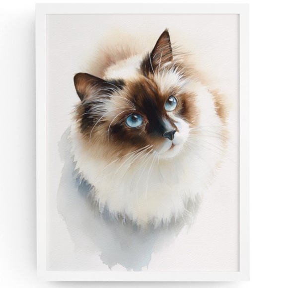 Watercolor Ragdoll Cat Wall Art Print Unframed - Picture 1 of 6